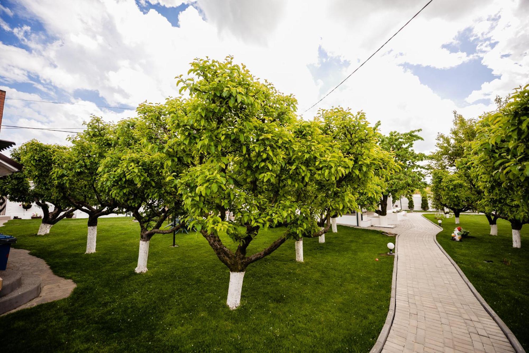 Nb Boutique Hotel Tuzla Bagian luar foto